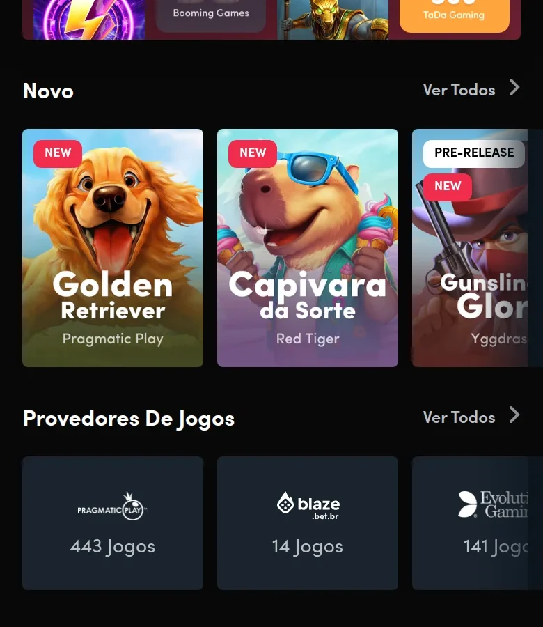 Lobby da Blaze com a seção Provedores De Jogos e a contagem de cada um