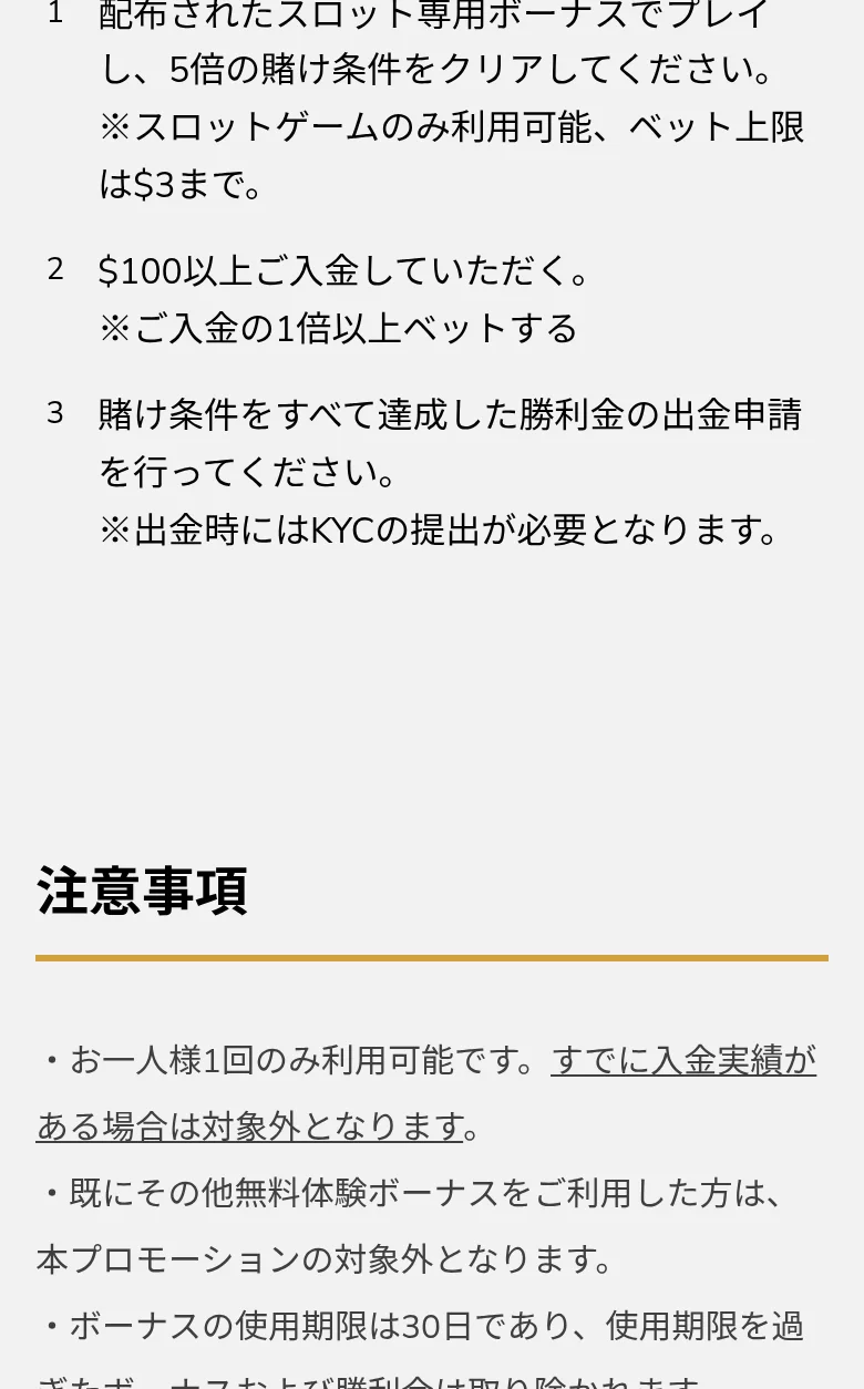 注意事項