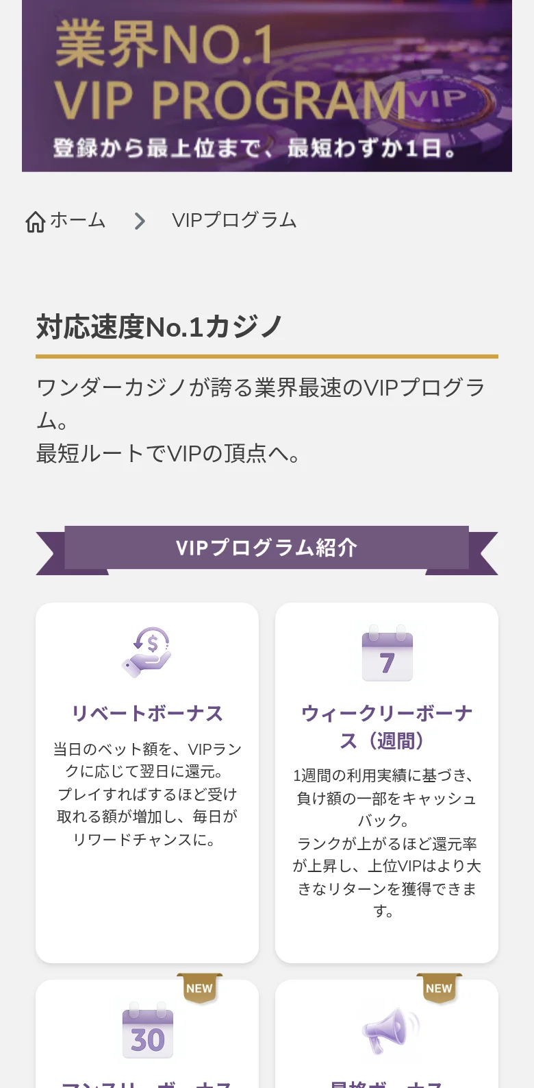 VIPプログラムの説明