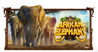African Elephant™, slot da Pragmatic Play