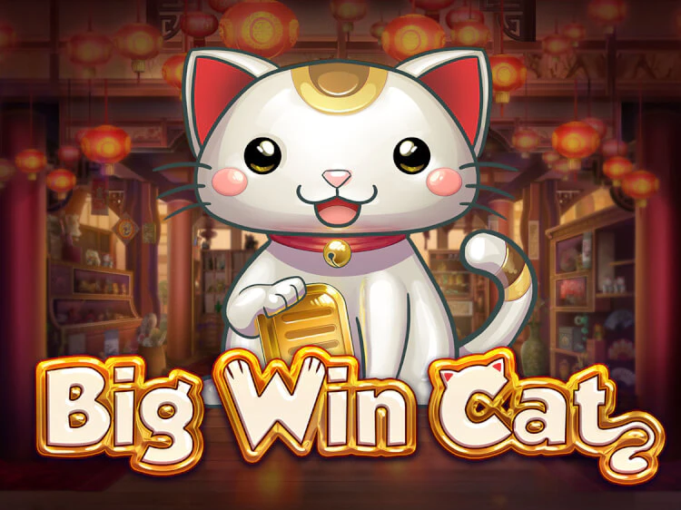 Big Win Cat, slot da Play'n GO