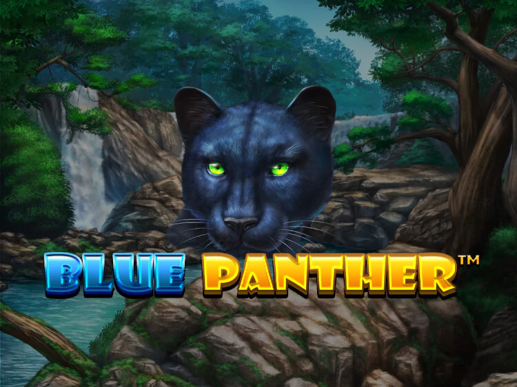 Blue Panther, slot da Spinomenal
