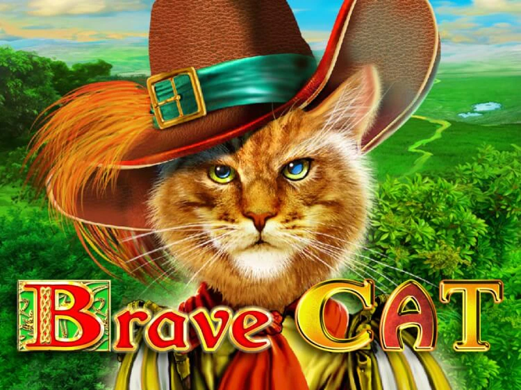 Brave Cat