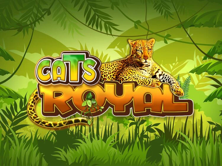 Cats Royal, slot da Amusnet Interactive