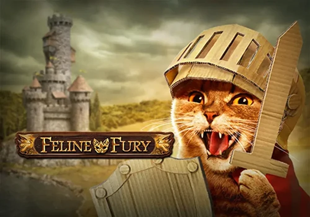 Feline Fury, slot da Play'n GO