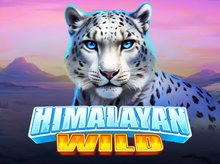 Himalayan Wild, slot da Pragmatic Play