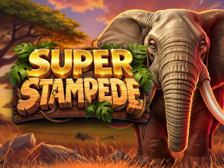 Super Stampede, slot da Betsoft