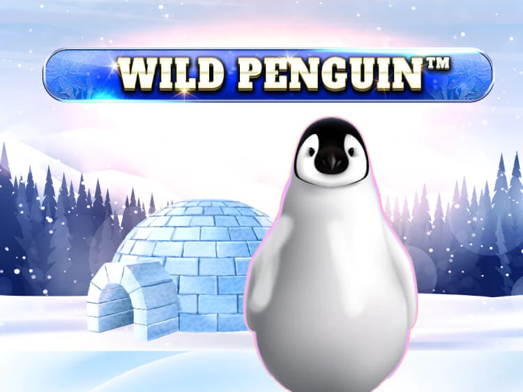 Wild Penguin, slot da Spinomenal